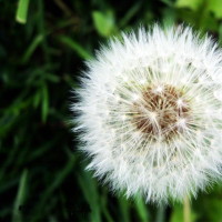 胡歌刘诗诗影视剪辑:阳葵多情种