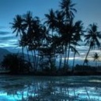 2018年最火网络歌曲男人最痴情唱给痴情的男