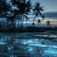 高手用唢呐吹河南曲剧《李豁子离婚》胡希华老