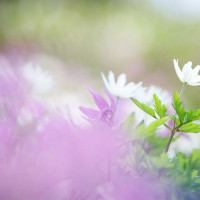 推荐一部科幻惊悚电影,人类殖民其他星球中并