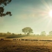 王者荣耀:王者荣耀版大话西游,孙悟空原来是…