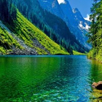 甘肃天水大姐唱秦腔花亭相会这嗓音太有磁性了