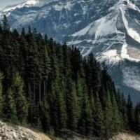 王者荣耀:国服第一达摩打出无敌无影脚,拿个五