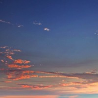 小黄小红偷吃花蜜被小蜜蜂蛰的满身是疙瘩