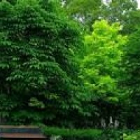 狂野绝地求生:豪宅的人间百态