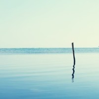 《迈克尔杰克逊:寻访梦幻岛》纪念我们的世界