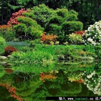 王者荣耀:KPL解说瓶子奕星实战教学