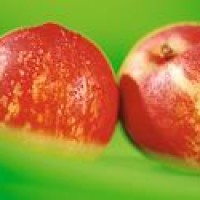 女孩以为自己得了癌症,竟把胶带死命往身上缠