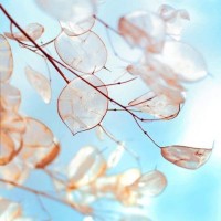 我是大侦探:杨幂唱《北京欢迎你》,何炅秒猜歌