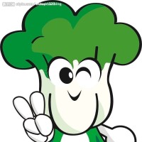 播求在这成名!曾经的世界第一格斗大赛!K-1历