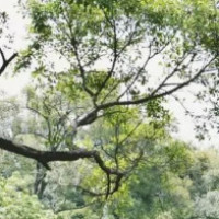 飞车手游小杰课堂教大家氮气延续的教学