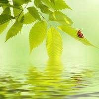 小新在水里爬到了游泳教练的身上