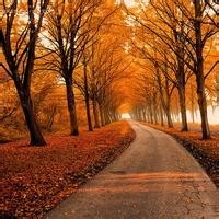 1看就是打麻将精英,出千的手法不1般