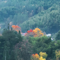 青钢影上单教学,卡蜜尔这版本上单无敌