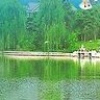 乱马的校长训话,开始飙起了日式英文