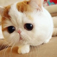 唯一对中国人免签的美国领土上最受欢迎的竟然