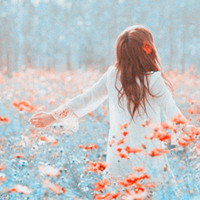 火柴人动画-我的世界来到桌面会怎么样