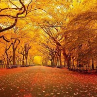 周星驰电影:江南四大才子游玩作诗,唐伯虎豪情