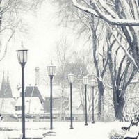 杨幂爸爸杨晓林成龙见我女儿都得叫大姐