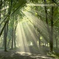 神超:详细讲解鳄鱼怎么打爆诺手,观众:这细节简