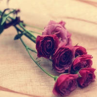 尤长靖高音欣赏