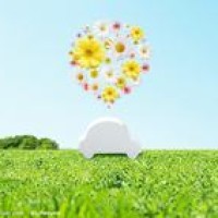 美女上演河南话教学,看完真想娶回家!