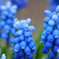 最搞笑CP,扶摇皇后杨幂西瓜传水给陈赫,两人这