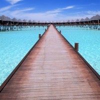 高晓松:北京怂人多,远没有其他地方民风彪悍