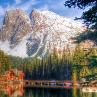 崔永元同台主持撒贝宁完全在下风,真服崔永元