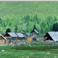 陈小天游戏解说 迷你世界 生存冒险 拆迁队来了