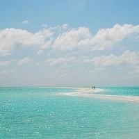 快手二驴深夜聊天 爆自己真实资产 赚的钱多的