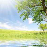 王者荣耀 骚白直播透露卸载直播软件,可能会下