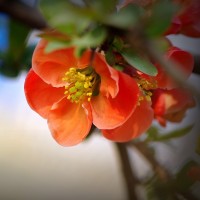 泰剧天生一对女主穿越到古代跟男主吵架,这语