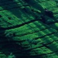 最新原创16步广场舞江南梦,柔美舒缓简单,纳兰