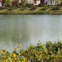 豫剧电影朝阳沟选段,高洁魏云原唱版,经典耐听