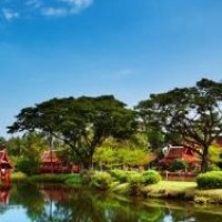 笑的肚儿痛!四川方言农村黑猫成精后调戏小鸭