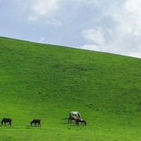 《爱情睡醒了》小贝跳河自杀,天骐恢复记忆,深