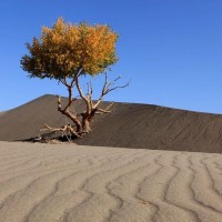 非常傲娇的小萝莉,没想到却在偷偷的工作