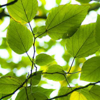 毛线棉鞋编织方法,手工鞋的编织视频教程,详细