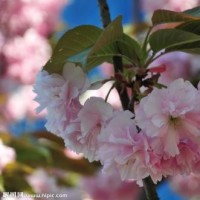 女孩以为男子夸她眼睛长得漂亮,结果男子说的