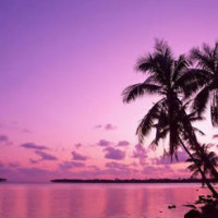 英雄难过美人关,赵丽颖为报仇而来陈伟霆然真