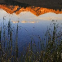 一部景甜霍建华演的这部经典电影你看过嘛