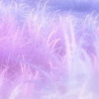 越剧名家钱慧丽萧雅张永梅等共同反串豫剧经典