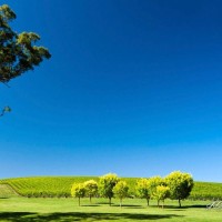 未来中国的农村会消失吗?撒贝宁的回答是这样