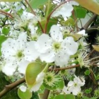 阿诺施瓦辛格从1岁到70岁的身材变化,视频告诉