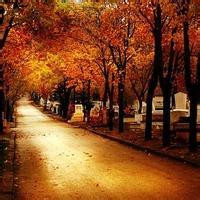 未婚妻被农村黑势力老大虐待,特种兵退伍回来