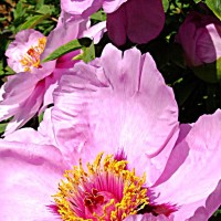 谈判官:谢晓飞酒吧壁咚童薇