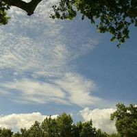 张雨绮龙凤胎宝宝乳名曝光,心心和念念寓意对