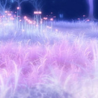 营养宝宝餐:家常蛋黄羹的做法教程,简单易学的