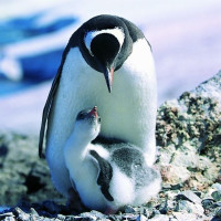 瘦身瑜伽 瘦腰 瘦肚子 瘦腿视频教程.mp4